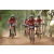 Team 09 / Raid Amazones Cambodge 2018 - J5 VTT