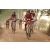 Team 02 / Raid Amazones Cambodge 2018 - J5 VTT