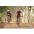 Team 15 / Raid Amazones Cambodge 2018 - J5 VTT