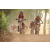 Team 35 / Raid Amazones Cambodge 2018 - J5 VTT