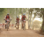 Team 35 / Raid Amazones Cambodge 2018 - J5 VTT