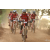 Team 35 / Raid Amazones Cambodge 2018 - J5 VTT