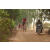 Team 102 / Raid Amazones Cambodge 2018 - J5 VTT