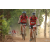 Team 102 / Raid Amazones Cambodge 2018 - J5 VTT