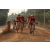 Team 117 / Raid Amazones Cambodge 2018 - J5 VTT