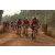 Team 149 / Raid Amazones Cambodge 2018 - J5 VTT