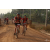 Team 48 / Raid Amazones Cambodge 2018 - J5 VTT