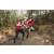 Team 36 / Raid Amazones Cambodge 2018 - J5 VTT