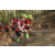 Team 128 / Raid Amazones Cambodge 2018 - J5 VTT