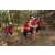 Team 108 / Raid Amazones Cambodge 2018 - J5 VTT