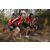 Team 135 / Raid Amazones Cambodge 2018 - J5 VTT