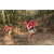 Team 113 / Raid Amazones Cambodge 2018 - J5 VTT