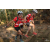 Team 103 / Raid Amazones Cambodge 2018 - J5 VTT