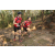Team 106 / Raid Amazones Cambodge 2018 - J5 VTT