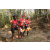 Team 122 / Raid Amazones Cambodge 2018 - J5 VTT