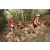 Team 101 / Raid Amazones Cambodge 2018 - J5 VTT