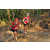 Team 48 / Raid Amazones Cambodge 2018 - J5 VTT