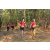 Team 40 / Raid Amazones Cambodge 2018 - J5 VTT