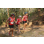 Team 120 / Raid Amazones Cambodge 2018 - J5 VTT