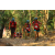 Team 109 / Raid Amazones Cambodge 2018 - J5 VTT