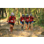 Team 135 / Raid Amazones Cambodge 2018 - J5 VTT