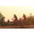 Raid Amazones Cambodge 2018 - J5 VTT