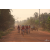 Raid Amazones Cambodge 2018 - J5 VTT