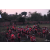 Raid Amazones Cambodge 2018 - J5 VTT