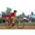 Team 45 / Raid Amazones Cambodge 2018 - J5 VTT