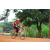 Team 119 / Raid Amazones Cambodge 2018 - J5 VTT