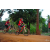 Team 119 / Raid Amazones Cambodge 2018 - J5 VTT