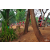 Raid Amazones Cambodge 2018 - J5 VTT