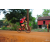 Team 42 / Raid Amazones Cambodge 2018 - J5 VTT