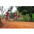 Team 33 / Raid Amazones Cambodge 2018 - J5 VTT