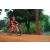Team 135 / Raid Amazones Cambodge 2018 - J5 VTT