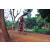 Team 24 / Raid Amazones Cambodge 2018 - J5 VTT