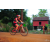 Team 107 / Raid Amazones Cambodge 2018 - J5 VTT