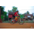 Team 109 / Raid Amazones Cambodge 2018 - J5 VTT