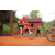 Team 15 / Raid Amazones Cambodge 2018 - J5 VTT