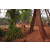 Raid Amazones Cambodge 2018 - J5 VTT
