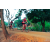 Team 08 / Raid Amazones Cambodge 2018 - J5 VTT