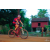 Team 08 / Raid Amazones Cambodge 2018 - J5 VTT
