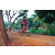 Team 13 / Raid Amazones Cambodge 2018 - J5 VTT