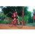 Team 13 / Raid Amazones Cambodge 2018 - J5 VTT