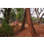 Raid Amazones Cambodge 2018 - J5 VTT