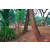 Team 39 / Raid Amazones Cambodge 2018 - J5 VTT
