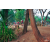 Team 38 / Raid Amazones Cambodge 2018 - J5 VTT