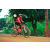 Team 43 / Raid Amazones Cambodge 2018 - J5 VTT
