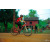 Team 43 / Raid Amazones Cambodge 2018 - J5 VTT