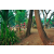 Team 03 / Raid Amazones Cambodge 2018 - J5 VTT